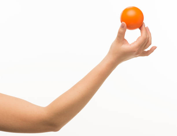 istock hand holding orange sponge ball isolated 1409775627