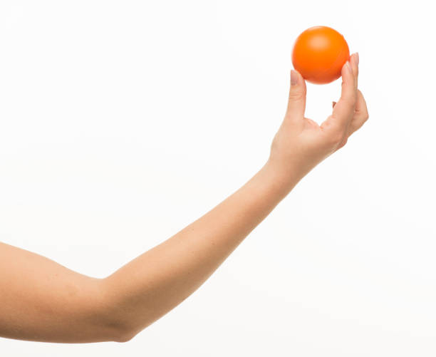 istock hand holding orange sponge ball isolated 1409775631
