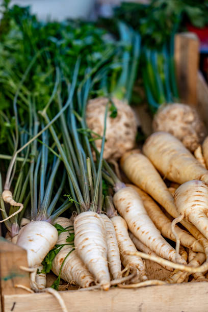 Parsnips and celery displayed for sale at the market.