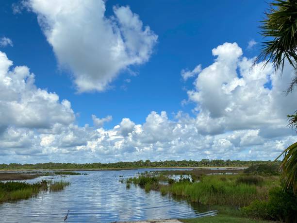 istock Heron at Guana Lake Ramp 1409779205