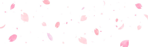 Vector specification with a watercolor-like wide version background with large and small cherry blossom petals drawn Vector specification with a watercolor-like wide version background with large and small cherry blossom petals drawn cherry tree stock illustrations