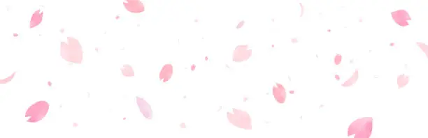 Vector illustration of Vector specification with a watercolor-like wide version background with large and small cherry blossom petals drawn