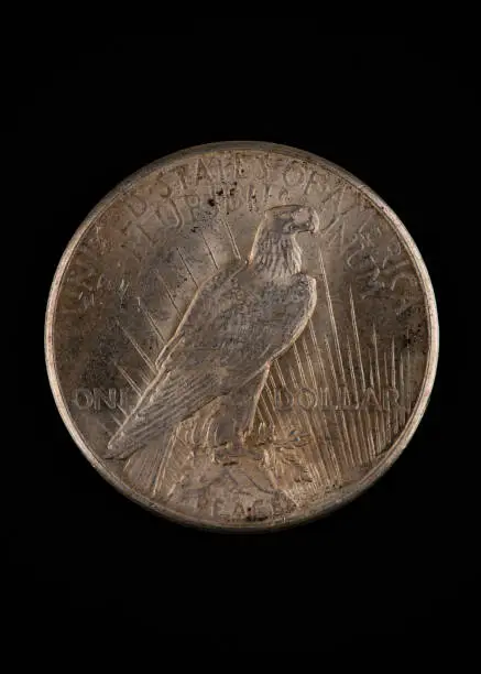 Photograph of a 1925 Silver Peace Dollar