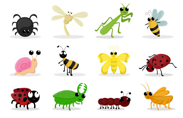 곤충 동물 설정 - ant comedian stock illustrations