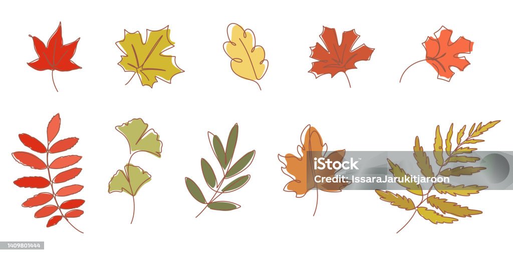 가을 나뭇잎의 연속 선 그리기 벡터 일러스트 레이 션 잎에 대한 스톡 벡터 아트 및 기타 이미지 - 잎, 라인아트, 단풍 잎 -  iStock