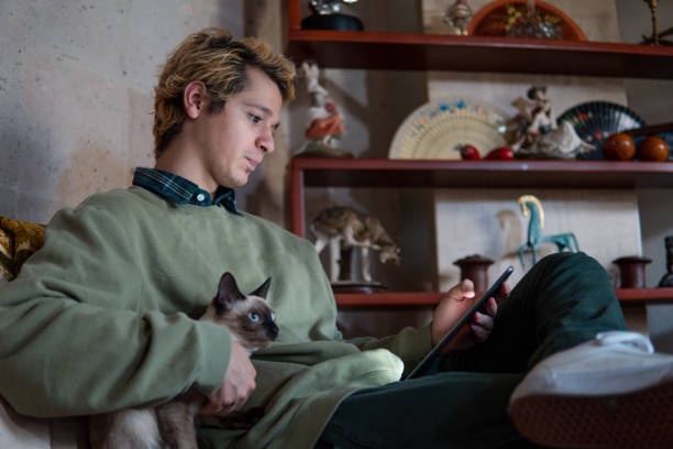 Man looking attentively at his tablet on the sofa at home while caressing his Siamese cat