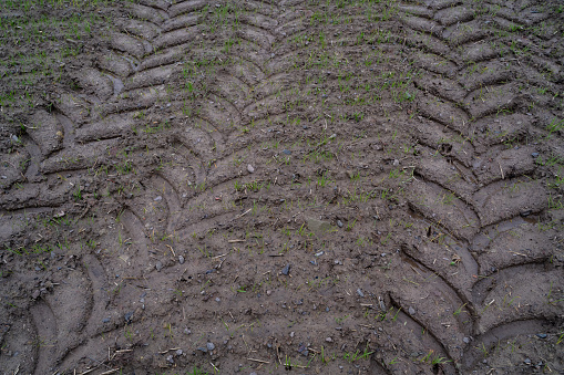 Tractor tire tracks in a wet agricultural field in autumn