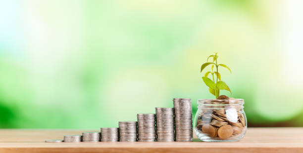 istock Money Coin Stack with growing plant on top 1409806950