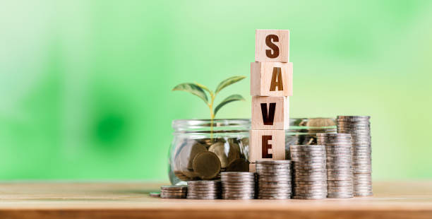 istock Money Coin Stack with growing plant on top 1409807491