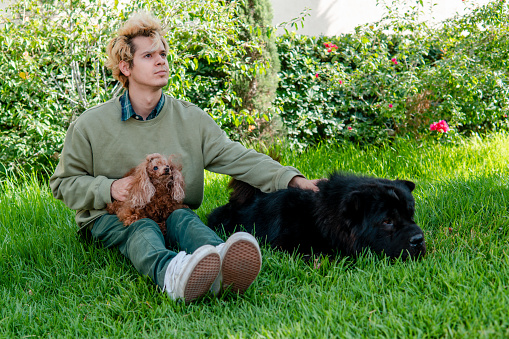 Blond boy with a green sweater sitting on the grass resting with his little brown dog and his big black dog on the side