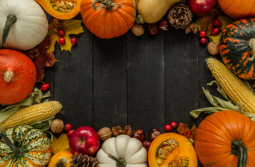 Autumn flat lay composition, with copy space on wooden background. Variety of edible and decorative gourds and pumpkins, rosehips, walnuts, cones, apples, kaki fruit, chestnuts and corn on the cob.