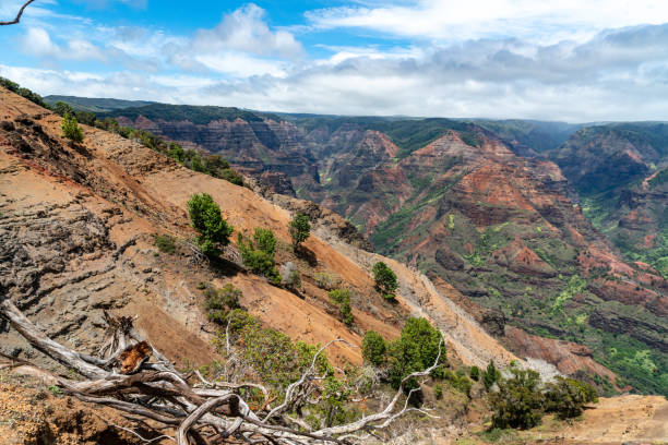 istock Beautiful day at the Waimea Canyon State Park 1409813384