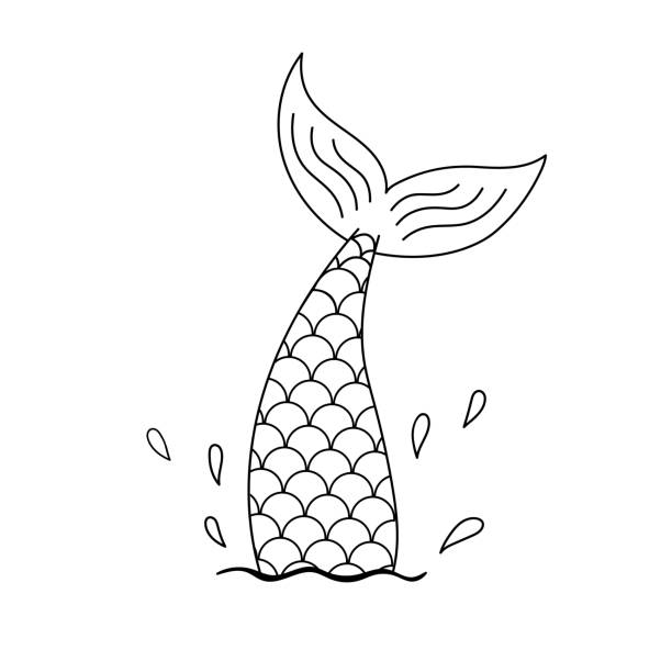 Hand drawn silhouette of mermaid tail. Vector line illustration isolated on white. Contour graphic tattoo or outline print for coloring page. Hand drawn silhouette of mermaid tail in water with sea spray. Vector line illustration isolated on white background. Contour graphic tattoo or outline print for coloring page. immersed in their work stock illustrations