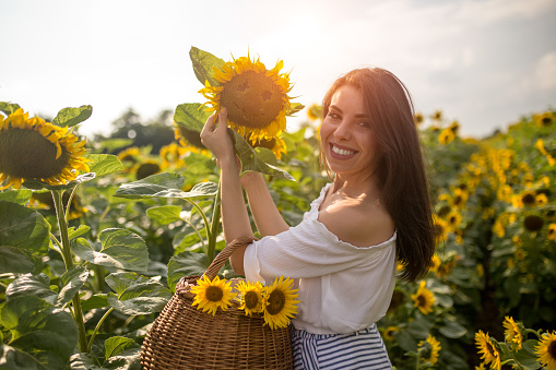 beautiful girl in field of sunflowers