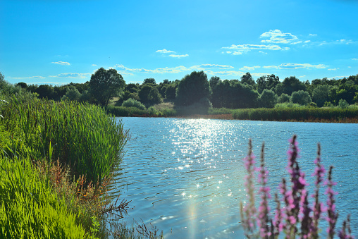 A lake in a hot summer day.