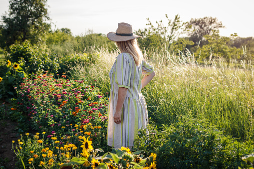 Woman wearing a dress and straw hat stands in flower garden. Female florist relaxing and enjoying view at blooming floral farm in summer season