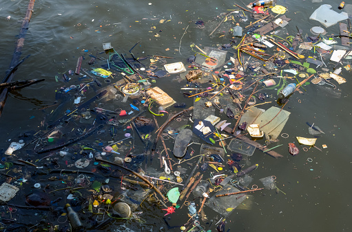 Many floating rubbish that thrown by people which made river dirty and polluted.