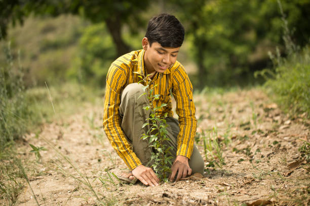 Teenage boy planting a plant on rural field