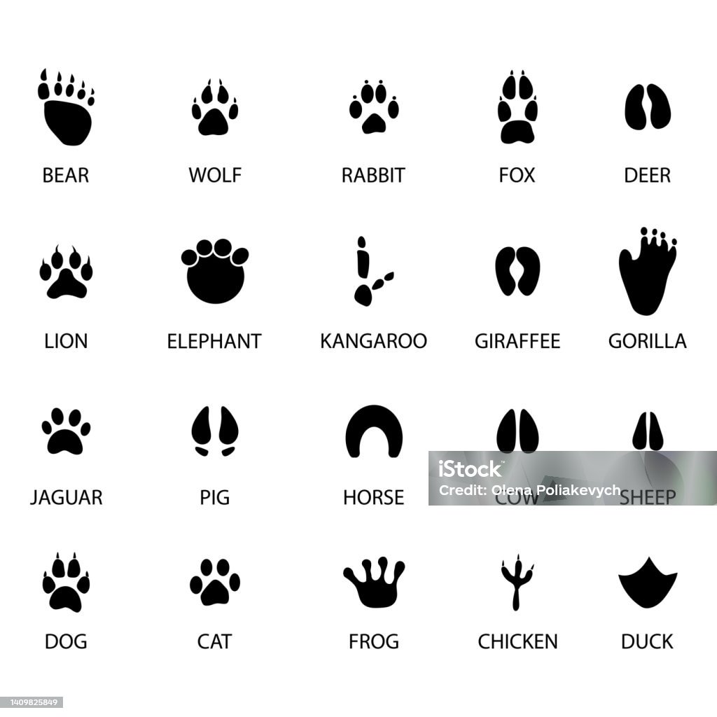 Black Animal Tracks Icons Animal Feet Silhouette Vector Illustration black-animal-tracks-icons-animal-feet-silhouette-vector-illustration