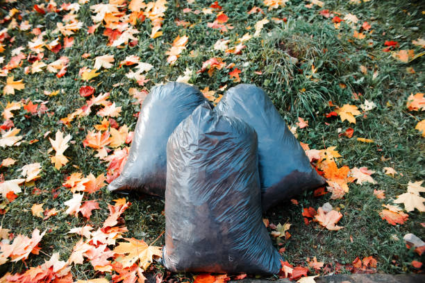 Garbage bags on the autumn lawn. Cleaning fallen leaves in the park. stock photo