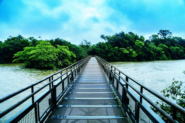 The steel bridge over the surging Iguassu River.