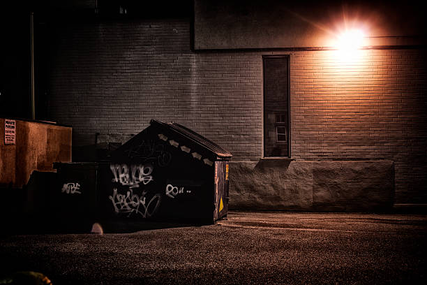 Urban Alley at Night A dirty, dark, shadowy and dangerous looking urban back-alley at night time with garbage dumpster. alley stock pictures, royalty-free photos & images