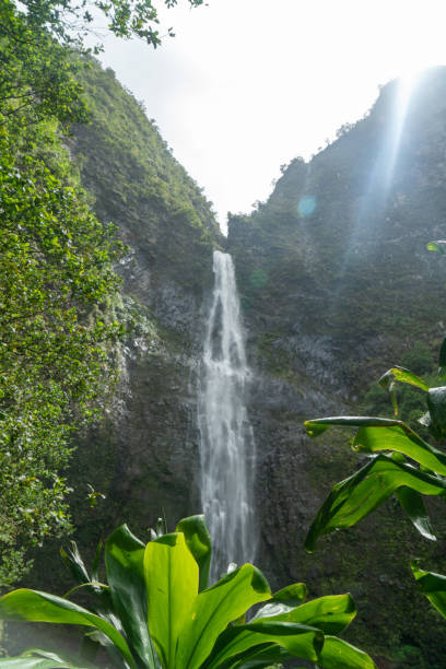 istock Exploring the Hanakapiai Falls in Kauai, Hawaii 1409829439