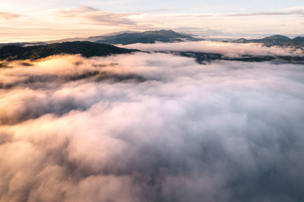 istock fog and clouds in the morning in the forest 1409830036