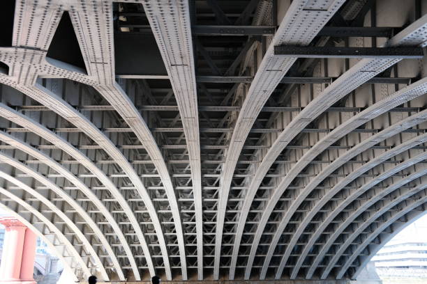istock Underbelly of a beast 1409833815