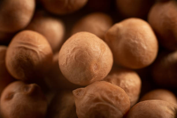 a pile of dried chickpeas. Close-up. Chickpeas nuts. Extreme closeup