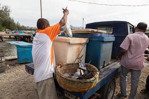 Banda Aceh, Indonesia - 01 Aug 2019: A fisherman keeps the day's catch of fresh fish, which he has just sold to a local trader, in containers with ice for preservation