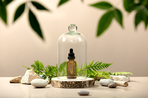 Minimalist composition with Amber glass cosmetic bottle in glass dome, leaves, stones, beige tones