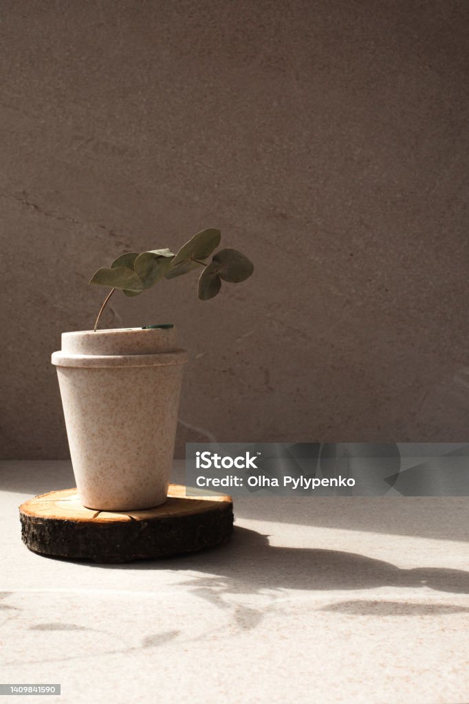 Reusable eco cup on a wooden stand on a stone beige background with a sprig of eucalyptus Reusable eco cup on a wooden stand on a stone beige background with a sprig of eucalyptus. Front view Biodegradable Stock Photo