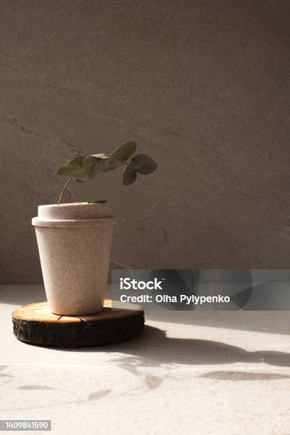 Reusable Eco Cup On A Wooden Stand On A Stone Beige Background With A Sprig Of Eucalyptus Stock Photo - Download Image Now