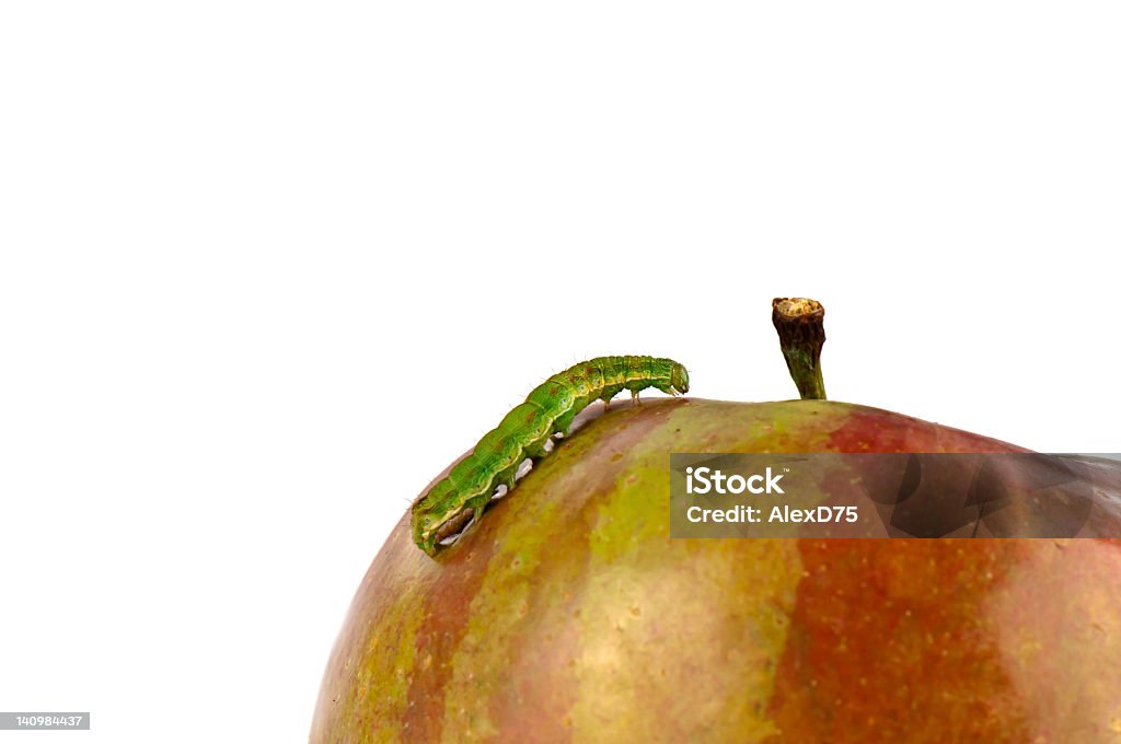 Caterpillar auf Roter Apfel - Lizenzfrei Apfel Stock-Foto