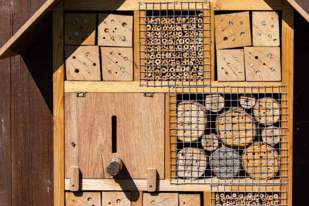 istock an insect hotel in summer 1409846379