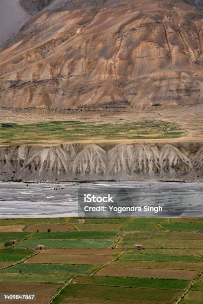Breath Taking View Of Spiti Valley From Key Monastery Fields Of Agriculture In Kaza Stock Photo - Download Image Now