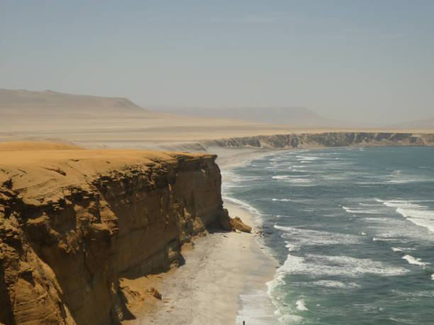 istock Desert meets the sea 1409849202