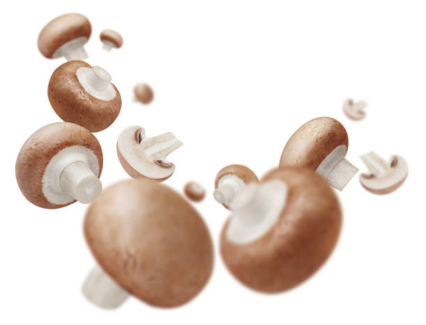 istock Flying delicious mushrooms on white 1409854029