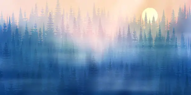 Vector illustration of Coniferous forest in the morning fog, sunrise