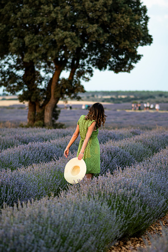 GIRL WITH GREEN DRESS IN A LAVENDER FIELD