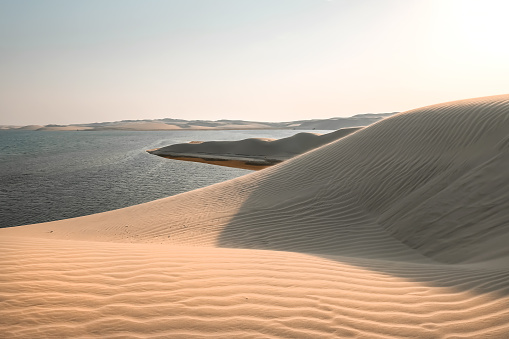 Full frame of sunrise casting shadows over uniquely smooth shaped golden desert sand dunes in Western Australia.