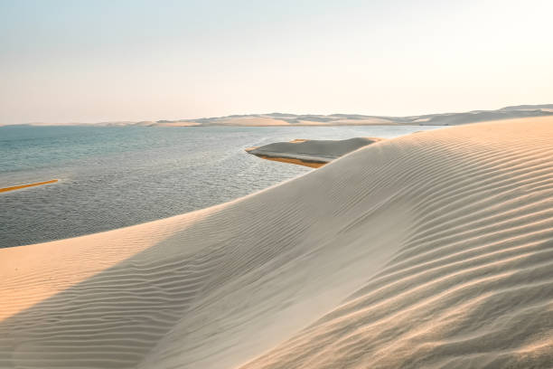 Sand dunes of Qatar desert at sunset time Sand dunes of Qatar desert at sunset time oasis sand sand dune desert stock pictures, royalty-free photos & images