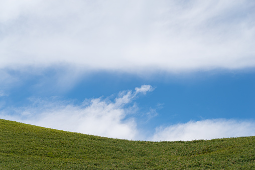 A refreshing summer plateau