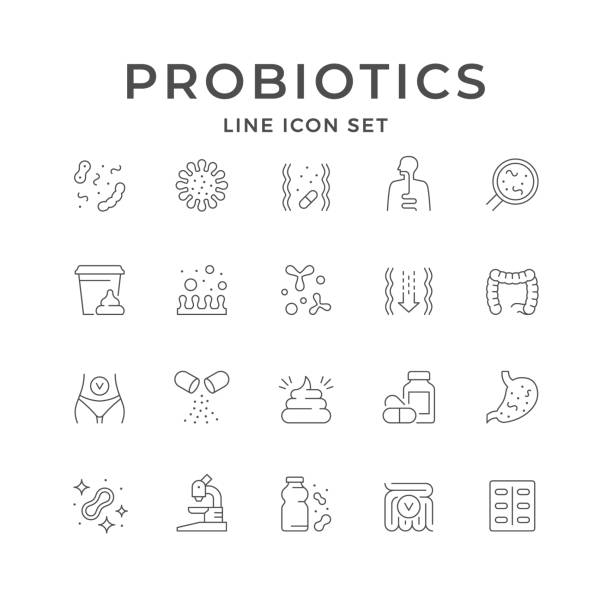 Set line icons of probiotics Set line icons of probiotics isolated on white. Food supplement, human digestion system, gut bacteria, pill or tablet, biotechnology. Vector illustration prebiotic probiotic stock illustrations