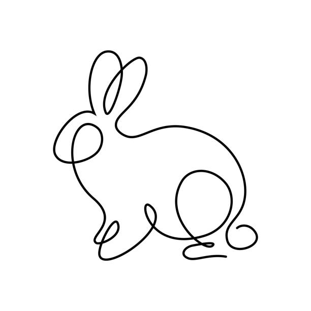 Rabbit Bunny rabbit in continuous line art drawing style. Hare black linear sketch isolated on white background. Vector illustration hare and leveret stock illustrations