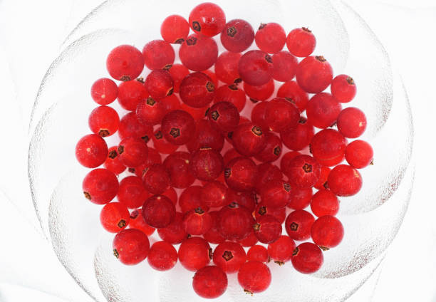 Red currant in a glass bowl submerged in water, top view