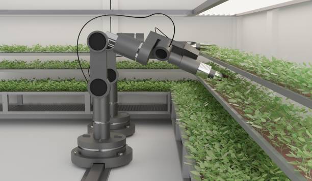 istock Smart farming agricultural technology Robotic arm harvesting hydroponic.3D rendering 1409864538
