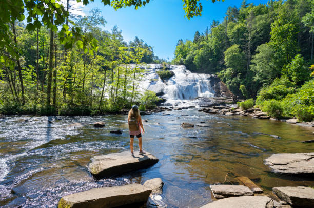 femme debout sur le rocher profitant d’une belle vue sur la cascade. - dupont state forest photos et images de collection