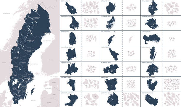 wektorowa kolorowa szczegółowa mapa szwecji z podziałami administracyjnymi kraju, każdy region jest prezentowany osobno i podzielony na gminy - stockholm silhouette sweden city stock illustrations